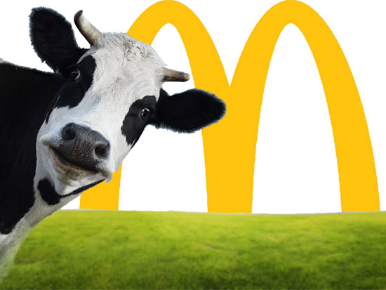 McDonald's sustainability report on Karma Wallet